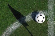 Sports in Qatar