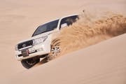 Sports in Qatar | The Ultimate Guide