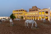 Le migliori cose da fare al Souq Waqif