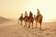 Visit Qatar - Official Website