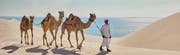 Visit Qatar - Official Website
