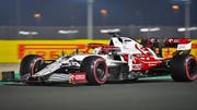 Sports in Qatar | The Ultimate Guide